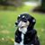 Janice Bloch's profile image