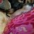 Linda Hicks's profile image