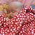 Barbara Yashuk Alper's profile image