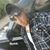Brandon Collins's profile image
