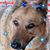 Brenda Schrader-Moore's profile image