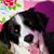 Catherine Purifoy's profile image