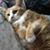 Mechell Angelique Sikes's profile image
