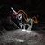 Karolyn Wait's profile image