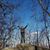 Charles McBrearty's profile image