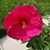 Sandra Wesserling's profile image