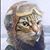 Madelyn Pelletier's profile image