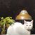 Beth Overman Terry's profile image