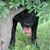 Tammy Shelley Mellis's profile image