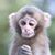 Bob Jensen's profile image