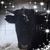 Shelly Neiman's profile image