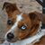 Sue Puffer's profile image