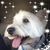 Meyling McKinney's profile image