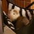 Lisa Lowman Empfield's profile image