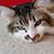 Jeanette Stefko's profile image