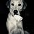 Kelly Ann Elizabeth Green-Nawotka's profile image