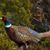 Laura Slosser's profile image