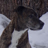 pete h.'s profile image