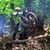 Gary Shetler's profile image