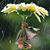 Carol Barlow's profile image
