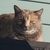 Marilyn Andress's profile image