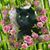 Valerie Hencinski's profile image