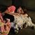 Coleen Danielson's profile image