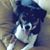 Cheryl Smith's profile image