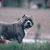 Grace Hein's profile image