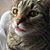 Sarah Taylor's profile image
