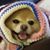 Dena Radler Shaheen's profile image