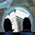 Wade Hoskins's profile image