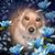 Ian Bradshaw's profile image