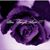 Amy Pope Coles's profile image