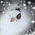 Kimberly Jackson Hardy's profile image