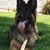 Pamela J. Vincent's profile image