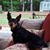 Connie Stewart Schuck's profile image