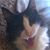 Erik Torfin's profile image
