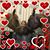 Ruth Piper's profile image