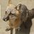 Dale Gray Branch's profile image
