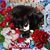 Linda Tufariello-Brenner's profile image