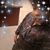 Tiara Alston's profile image