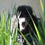 Barbara Norman's profile image
