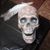 Glenn Hamby's profile image