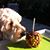 Terri Owen's profile image