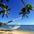 Jennifer Wicksman's profile image