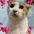 Kim Hutcheson's profile image