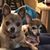 Kathy Schalka Marvin's profile image