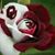 Peggy Martin's profile image