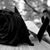 Jose Murillo Maria Elena's profile image